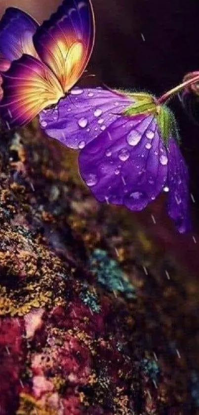 Beautiful butterfly on a vibrant purple flower with dewdrops.