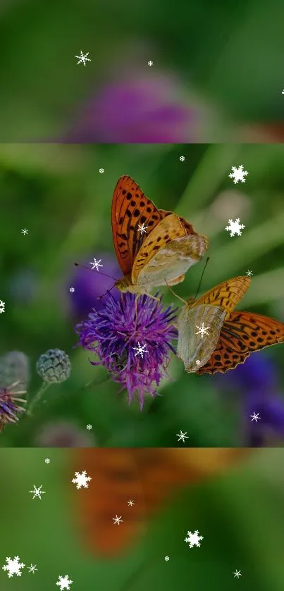 Butterfly rests on purple flower amidst green background with white snowflakes.