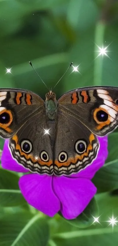 Butterfly on a vibrant purple flower with lush green background.