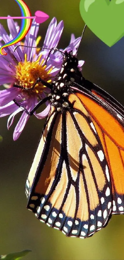 A beautiful butterfly on a purple flower with a blurred background.