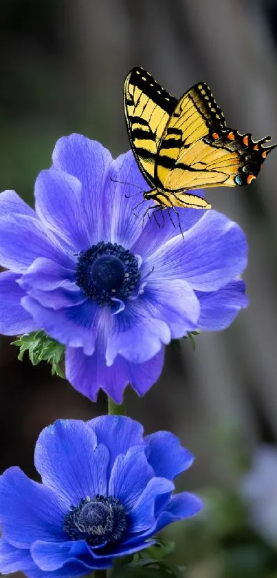 Yellow butterfly perched on purple flowers.