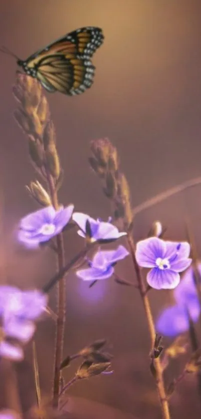 A butterfly perched on lavender flowers with a soft, dreamy background.