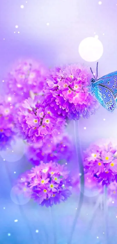 Blue butterfly on purple flowers with soft background