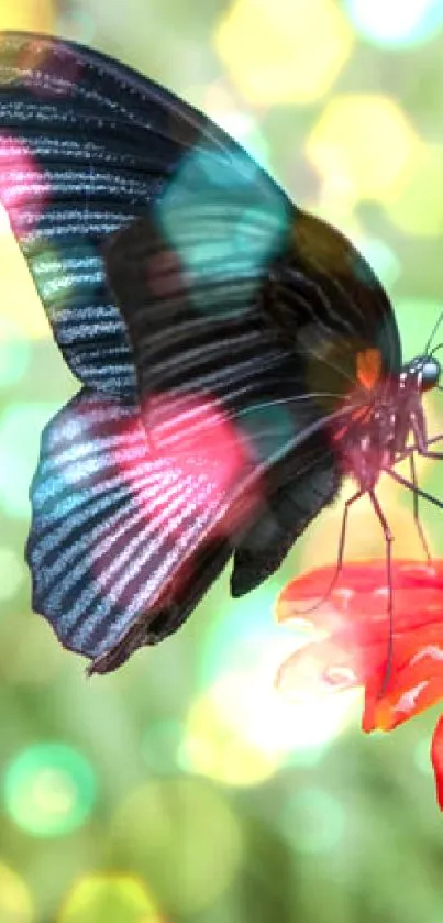 Black butterfly resting on vibrant red flower amidst lush greenery.