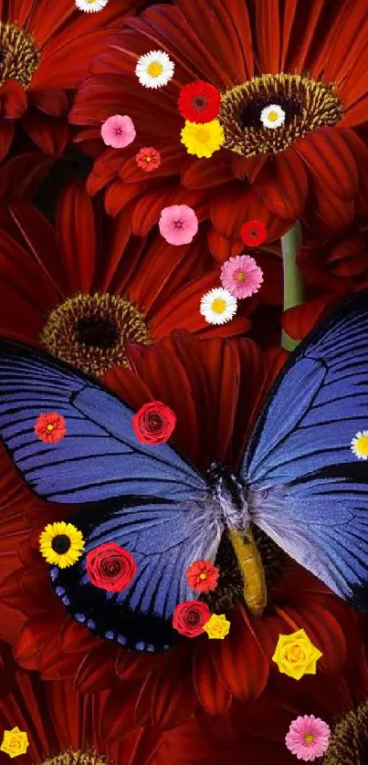 Blue butterfly on vibrant red flowers wallpaper.