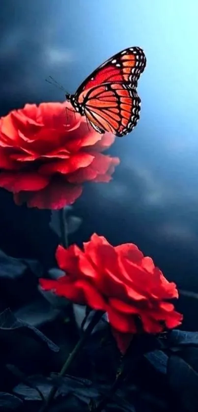 Vibrant butterfly on red roses against a blue backdrop, perfect for nature wallpapers.