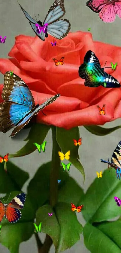 Red rose with butterflies mobile wallpaper.