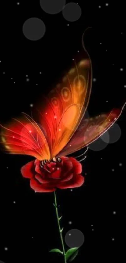 Elegant red butterfly on a rose against a black background.