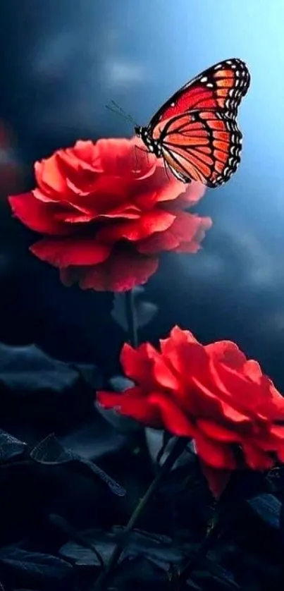 Butterfly resting on red roses with a blue backdrop.