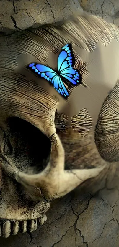 Mobile wallpaper of a blue butterfly resting on a textured skull with brown tones.