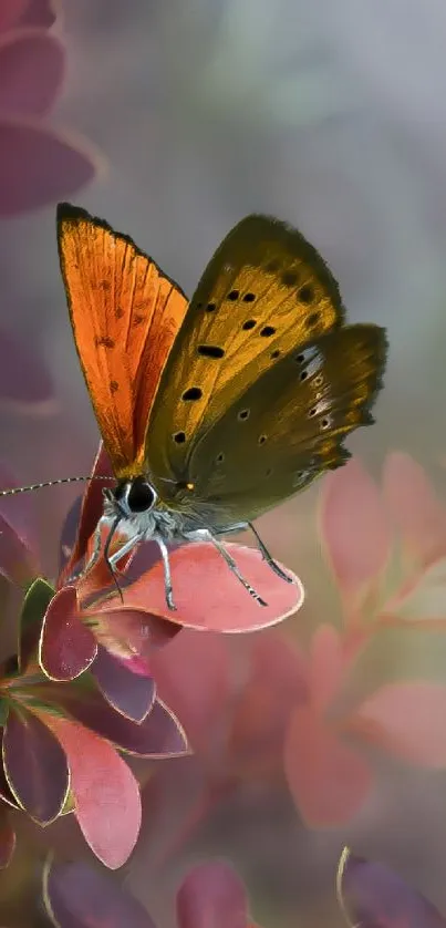 Vibrant butterfly on soft red leaves background.