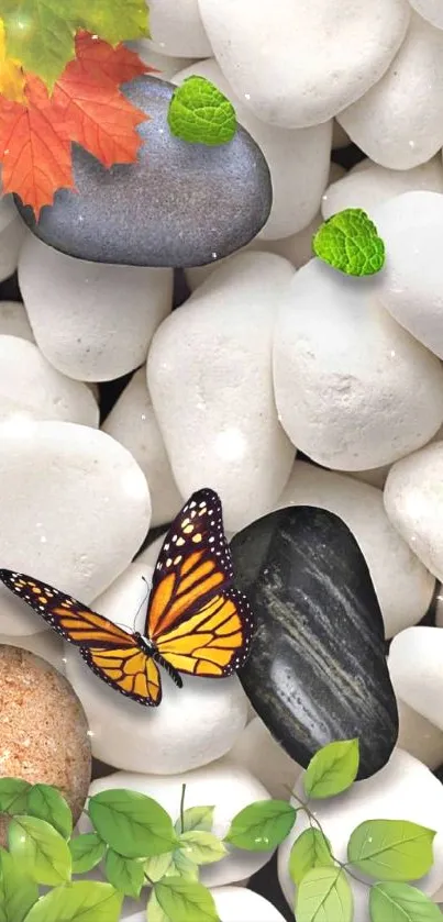 Butterfly on stones with autumn leaves and green foliage wallpaper.