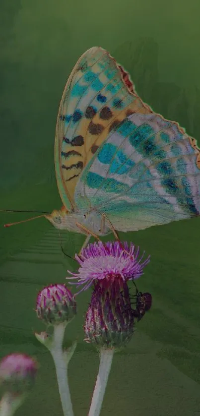 Colorful butterfly on purple thistle against green backdrop.