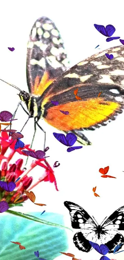 A butterfly perched on a red flower with green leaves in the background.