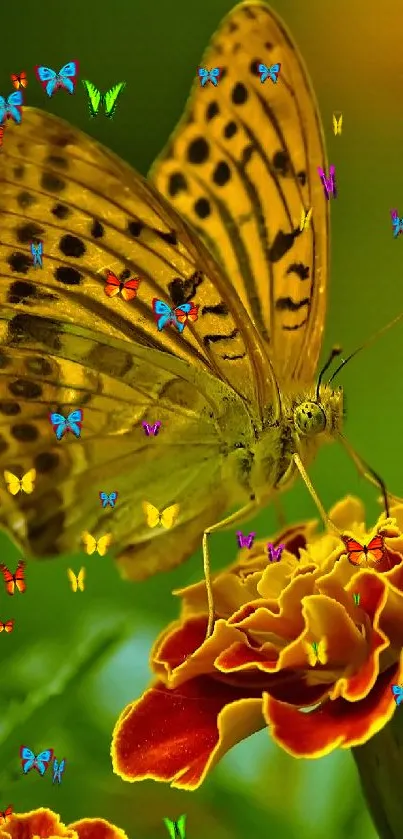 Yellow butterfly on vibrant marigold flower against green background.