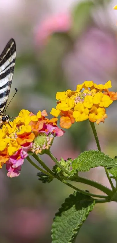 Butterfly perched on bright flowers in a vibrant garden.