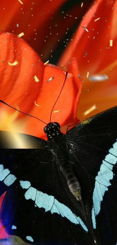Black butterfly with blue stripes on a vibrant red flower.
