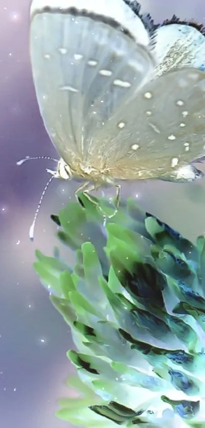 Delicate butterfly on vibrant thistle against a dreamy background.