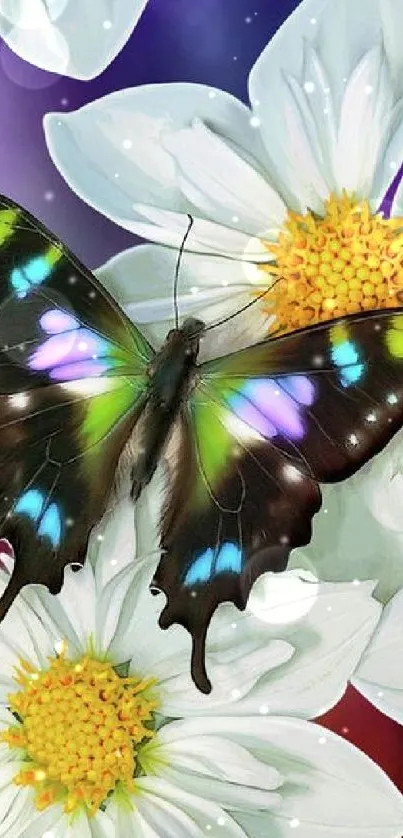 Vibrant butterfly on white flowers with a colorful background.