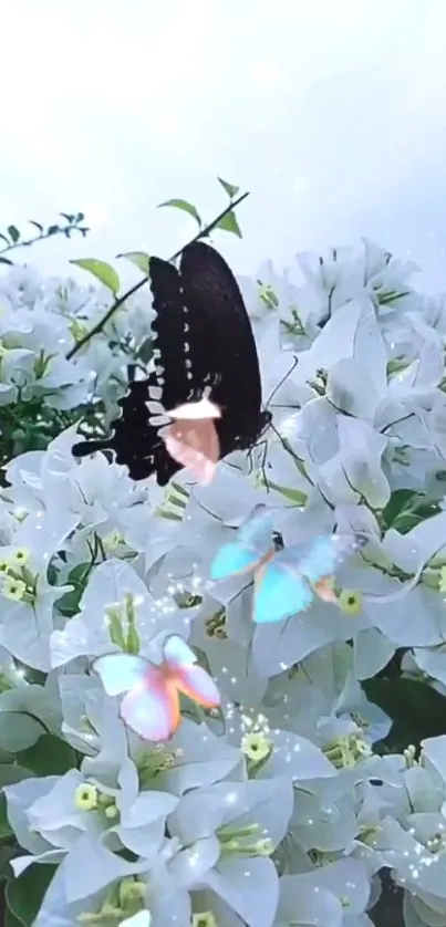 Butterfly rests on white flowers with colorful surroundings.