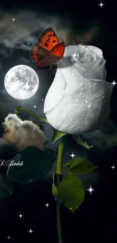 Butterfly on a white rose with a full moon in the night sky.