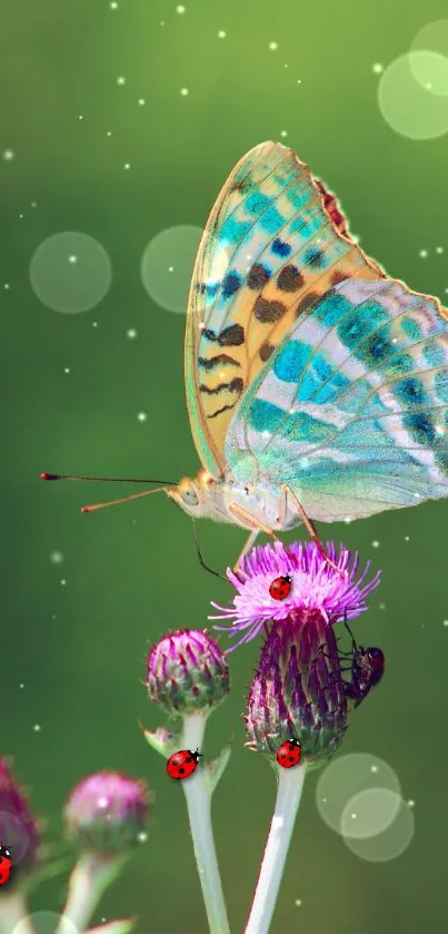 Vibrant butterfly on purple flower with green background.