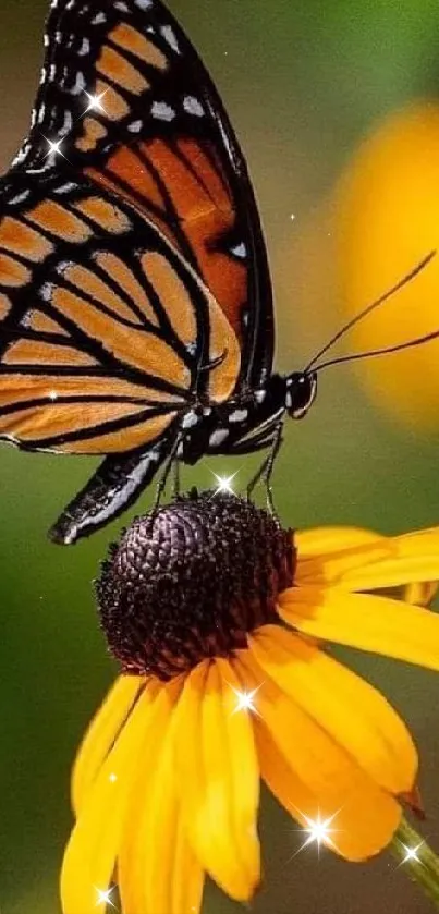 Butterfly resting on a yellow flower