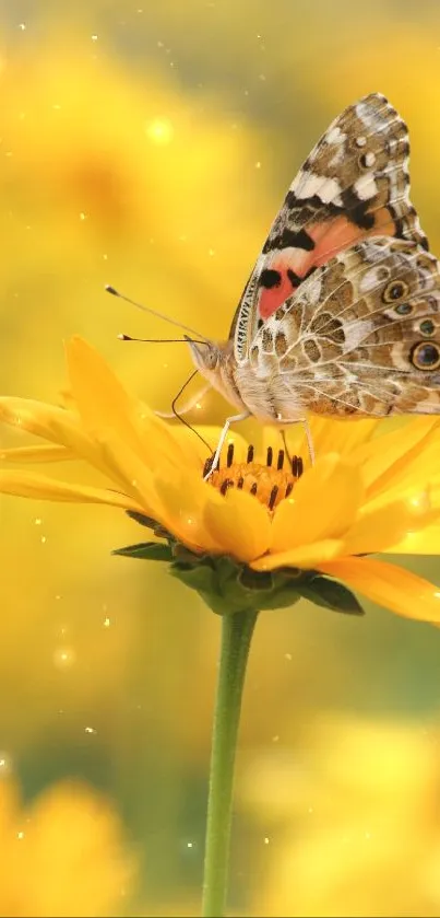 Butterfly resting on a vibrant yellow flower in a serene nature scene.