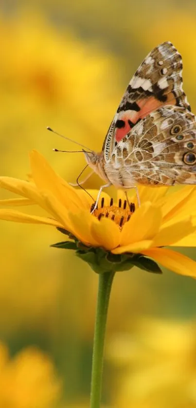 A butterfly rests on a bright yellow flower in a vibrant nature scene.