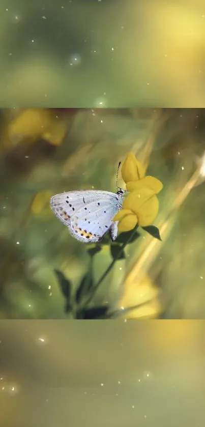 A delicate butterfly on a yellow flower in a tranquil nature scene.