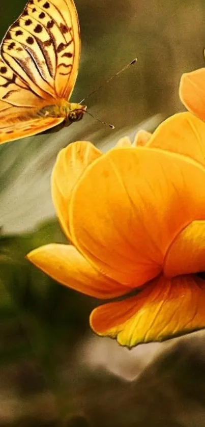 Butterfly landing on a vibrant yellow flower with a blurred green background.