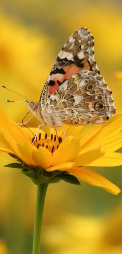 A beautiful butterfly perched on a bright yellow flower in a serene nature setting.