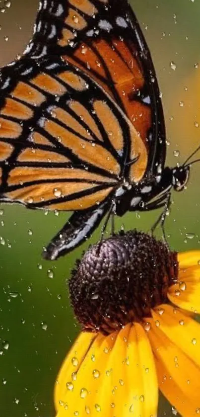 A butterfly perches on a yellow flower in the rain, vibrant and detailed.