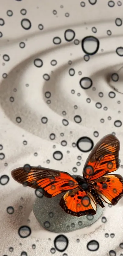 Orange butterfly on Zen garden sand with water droplets.