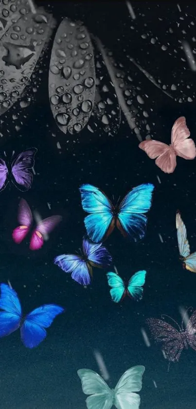 Colorful butterflies against a dark blue backdrop with rain droplets.