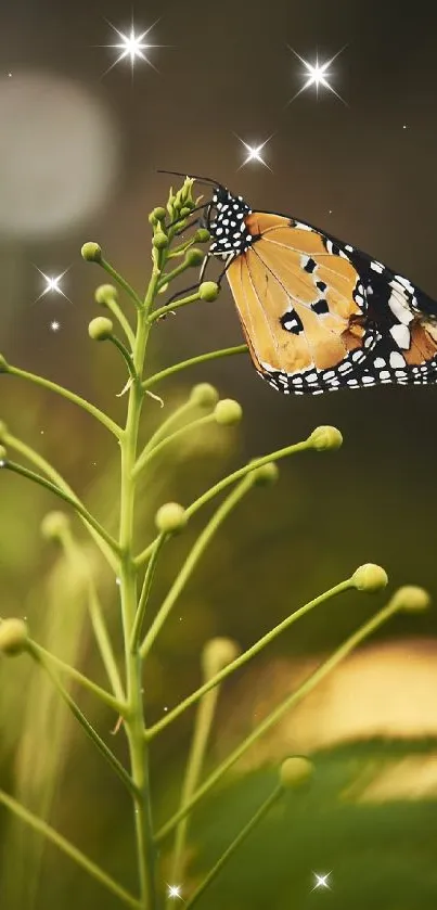 Butterfly on green foliage, peaceful nature scene.