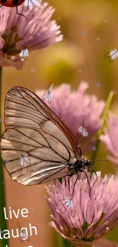 A butterfly on pink flowers with 'live, laugh, love' text.