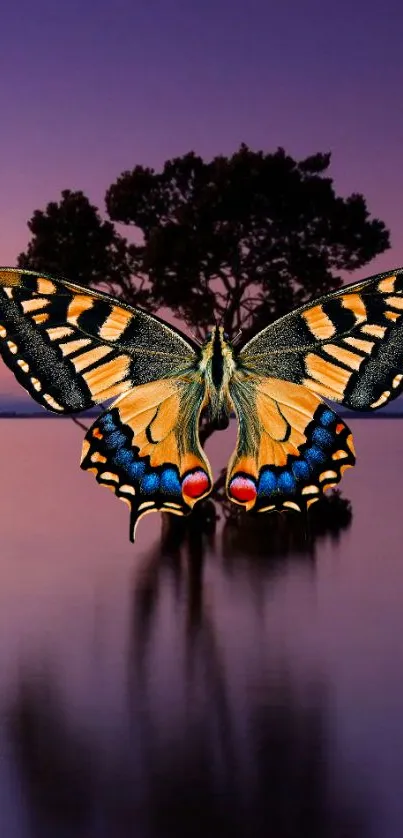 Butterfly with sunset backdrop and tree reflection.