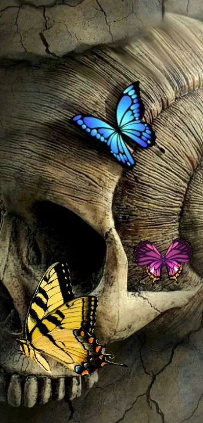 Butterflies rest on a detailed skull, artistic design.