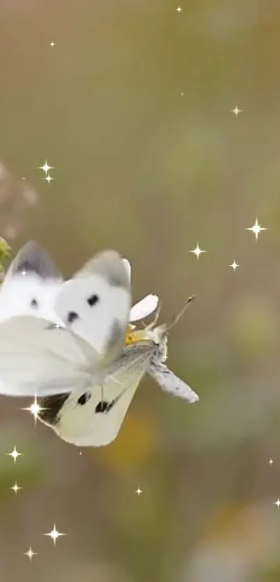 White butterfly with sparkles on a light brown background.