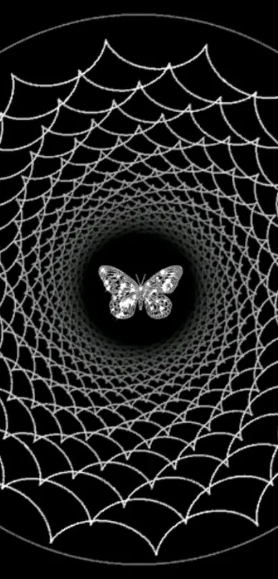 Butterfly in a detailed spiderweb pattern on a black background wallpaper.