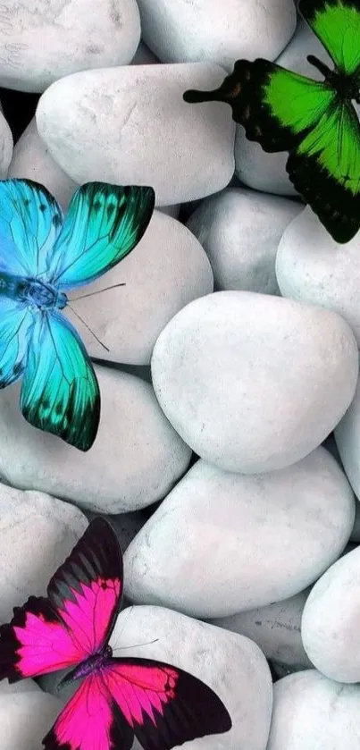 Colorful butterflies on white stones wallpaper.