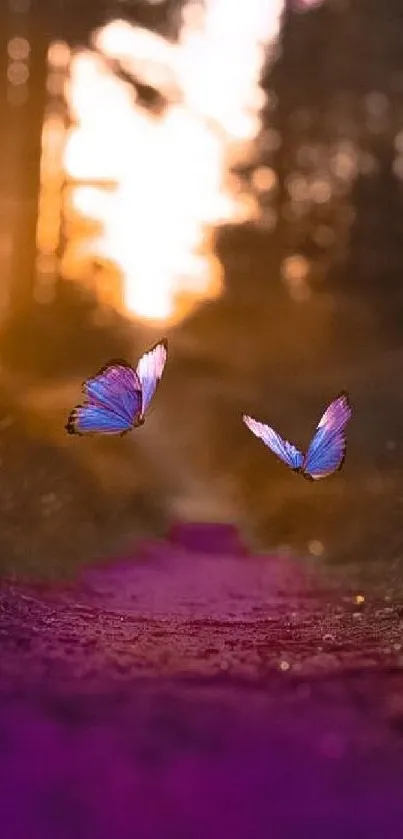 Two butterflies at sunset with a purple path and trees.