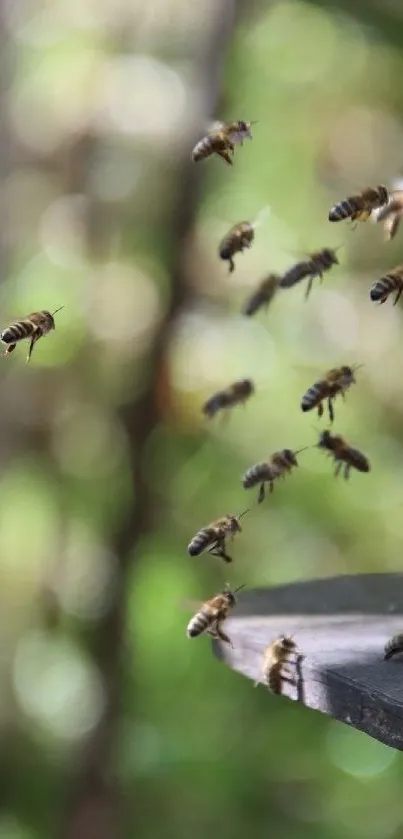 Buzzing bees in natural habitat on green backdrop.