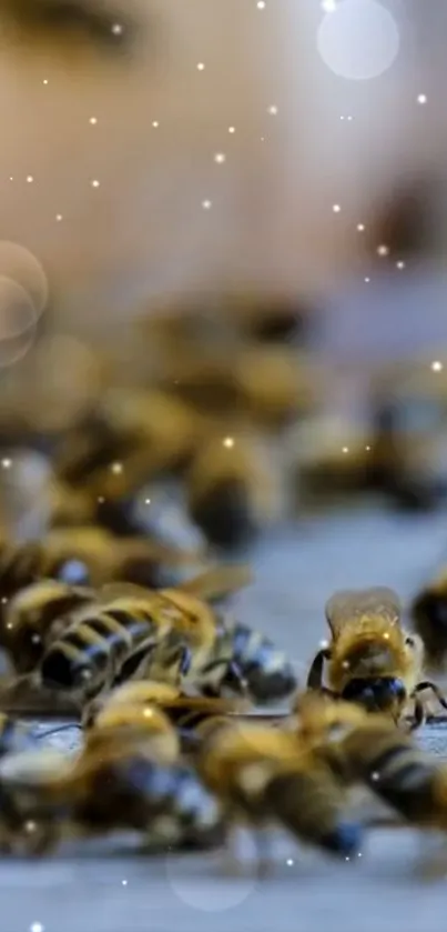 Close-up of buzzing bees swarming energetically.