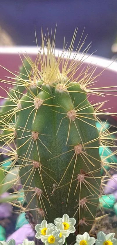 Green cactus with flowers in a vibrant natural setting.