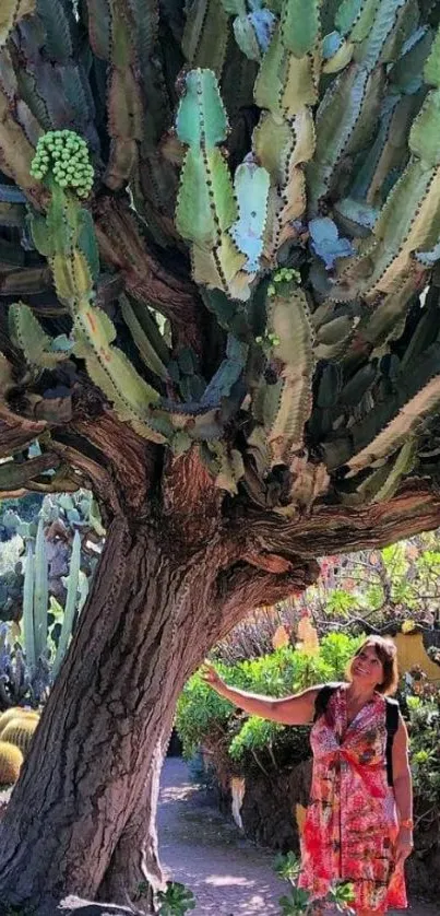 Giant cactus tree in a serene garden path.