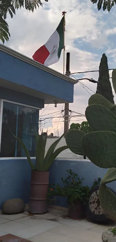 Cactus garden with Mexican flag background.