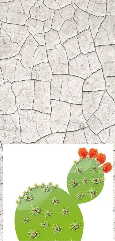 A green cactus with flowers on cracked earth background.