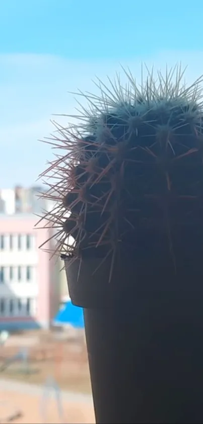 Cactus silhouette against a soft urban sky backdrop.